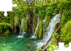 Chorwacja, Park Narodowy Jezior Plitwickich, Wodospad, Roślinność
