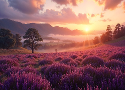 Wrzosowisko, Drzewa, Mgła, AI