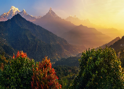 Azja, Nepal, Góry, Himalaje, Szczyt Annapurna, Wschód słońca, Roślinność