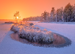 Zima, Drzewa, Rzeka, Siegieża, Karelia, Rosja, Wschód słońca