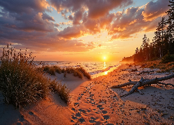 Plaża, Wydmy, Morze, Zachód słońca, Grafika AI