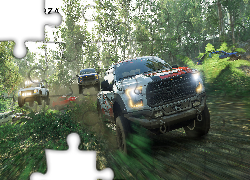 Forza Horizon 3, Samochody, Terenowe, Ford, Las, Droga, Wyścig, Plakat