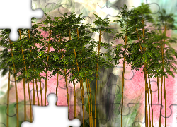 Drzewa, Grafika 2D