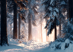 Zima, Drzewa, Droga, Las, Grafika AI