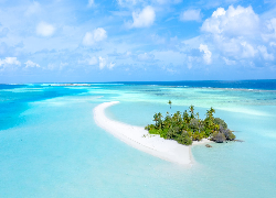 Malediwy, Morze, Wyspa, Palmy, Z lotu ptaka