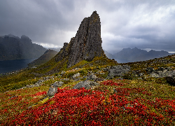 Norwegia, Wyspa Senja, Szczyt Husfjellet, Skały, Roślinność, Morze, Chmury