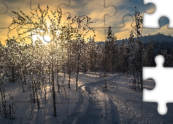 Finlandia, Region Ostrobotnia Północna, Miejscowość Ruka, Wzgórza Ruka, Zima, Las, Droga, Oszronione, Drzewa, Wzgórza, Wschód słońca