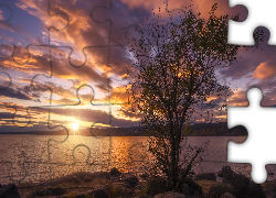 Jezioro Tyrifjorden, Zachód słońca, Chmury, Drzewo, Okręg Buskerud, Norwegia