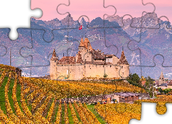 Szwajcaria, Region Chablais Vaudois, Góry, Zamek, Aigle Castle, Plantacja, Winnice