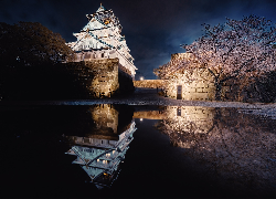 Oświetlony, Zamek Osaka, Brokatowy Zamek, Drzewo, Mur, Miasto Osaka, Japonia