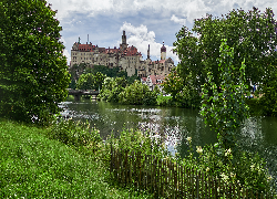 Zamek Sigmaringen, Niemcy, Rzeka, Dunaj, Drzewa