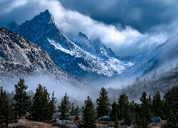 Zima, Góry, Drzewa, Chmury, Grafika AI