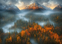 Góry, Lasy, Drzewa, Mgła, Jesień, Chmury, Wschód słońca