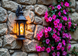 Murowana, Ściana, Świecąca, Lampa, Purpurowe, Kwiaty