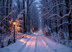 Zima, Las, Ośnieżone, Drzewa, Zaśnieżona, Droga, Latarnie, AI