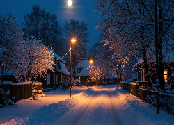 Zima, Ośnieżone, Drzewa, Latarnie, Droga, Domy, Księżyc