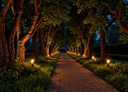 Latarnie, Drzewa, Noc, Park