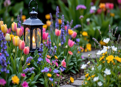 Wiosna, Kwiaty, Tulipany, Lampion, Świeca, Ogród