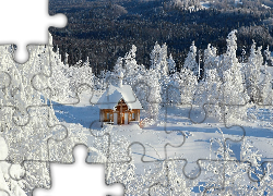 Dom, Śnieg, Zima, Drzewa