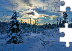 Zima, Śnieg, Wieczór, Drzewa