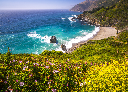 Stany Zjednoczone, Kalifornia, Big Sur Beach,  Wybrzeże, Morze, Zatoka, Kwiaty, Skały, Plaża, Wzgórza, Góry