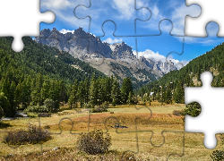 Góry, Zbocza, Lasy, Drzewa