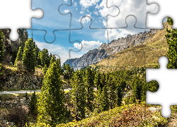 Góry, Droga, Zielone, Drzewa