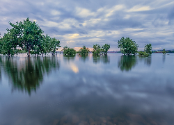 Stany Zjednoczone, Kolorado, Park stanowy, Chatfield State Park, Jezioro, Chatfield Lake, Drzewa