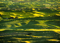 Wzgórza, Łąki, Pola, Steptoe Butte State Park, Region Palouse, Stan Waszyngton, Stany Zjednoczone
