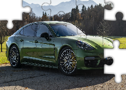 Zielone, Porsche Panamera S, Bok