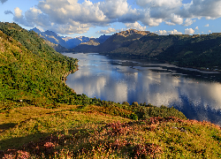 Szkocja, Jezioro, Loch Duich, Wzgórza, Góry Kintail