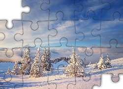 Zima, Góry, Śnieg, Drzewa, Iglaste