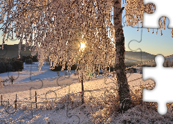 Austria, Styria, Zima, Drzewo, Wschód słońca