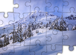 Zima, Góry, Świerki