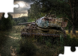 Czołg, M41 Walker Bulldog, Bagna