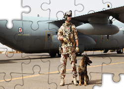 Żołnierz, Mężczyzna, Pies, Samolot