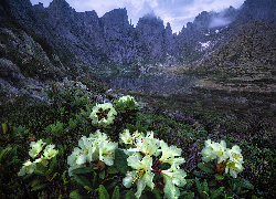 Góry, Skały, Kwiaty, Żółte, Azalie, Rododendron, Chmury, Jezioro
