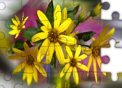 Żółte, Kwiaty, Arnika, Grafika