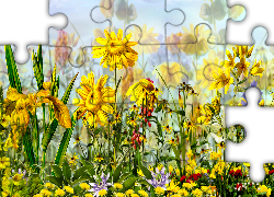 Żółte, Kwiaty, Grafika