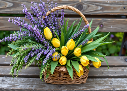 Żółte, Tulipany, Lawenda, Koszyk, Ławka