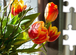 Kwiaty, Żółto-czerwone, Tulipany
