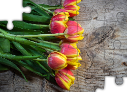 Żółto-czerwone, Tulipany, Deska