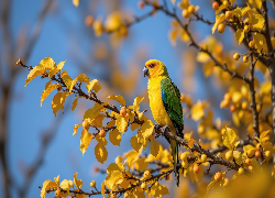 Żółto-zielona, Papuga, Gałązki, Żółte, Liście, Grafika AI