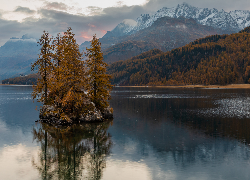 Szwajcaria, Jezioro Silsersee, Wyspa, Drzewa, Zalesione, Wzgórza